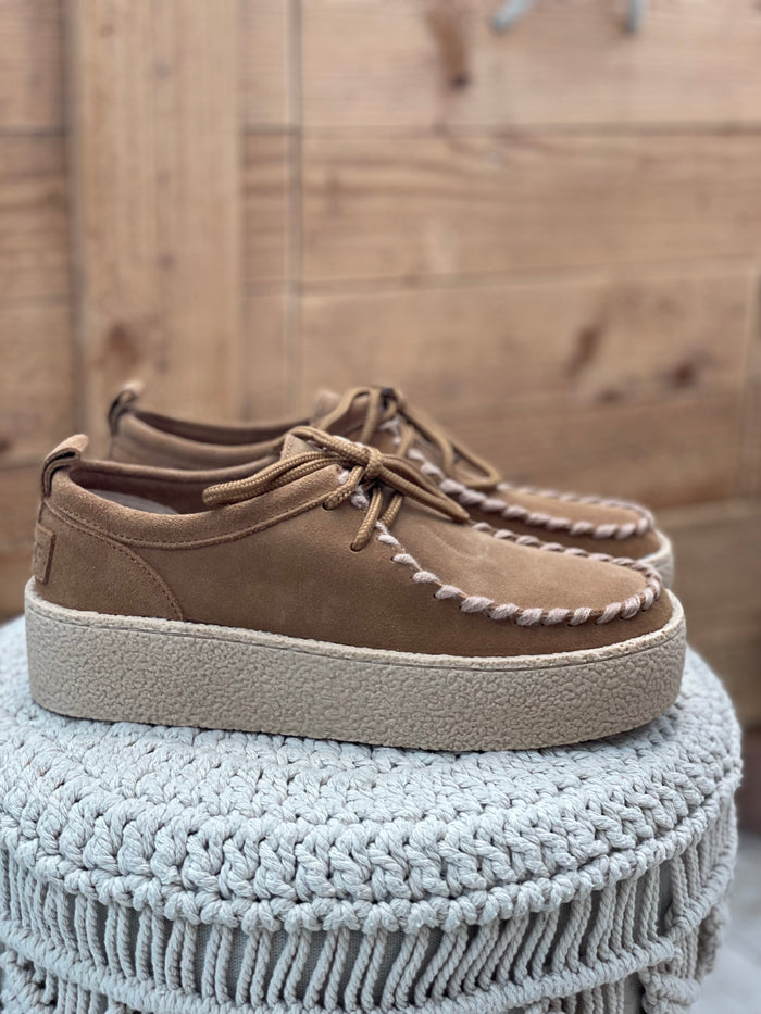 Derby CANYON SOFT