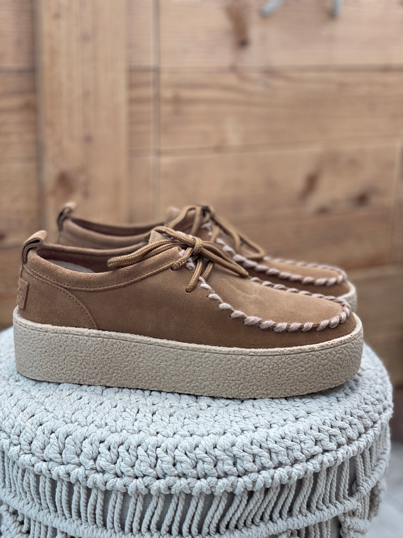 Derby CANYON SOFT